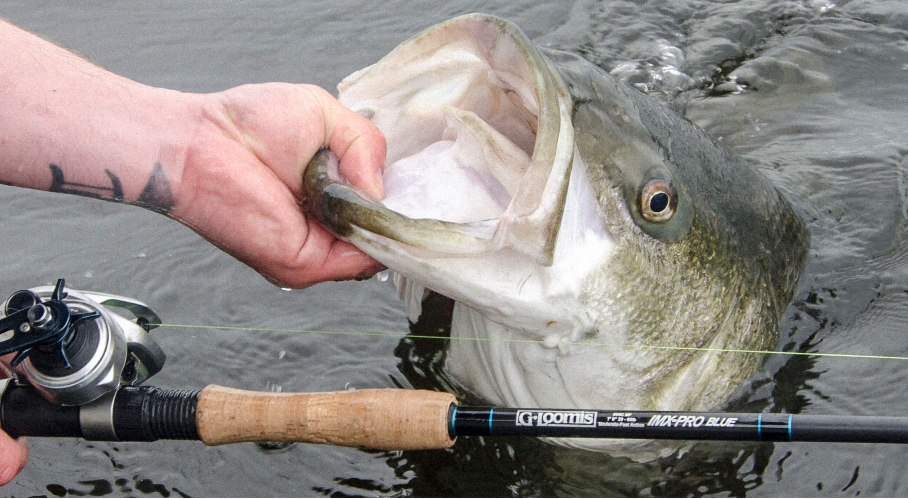 Pick The BEST FRESHWATER BASS ROD for YOUR STYLE OF FISHING