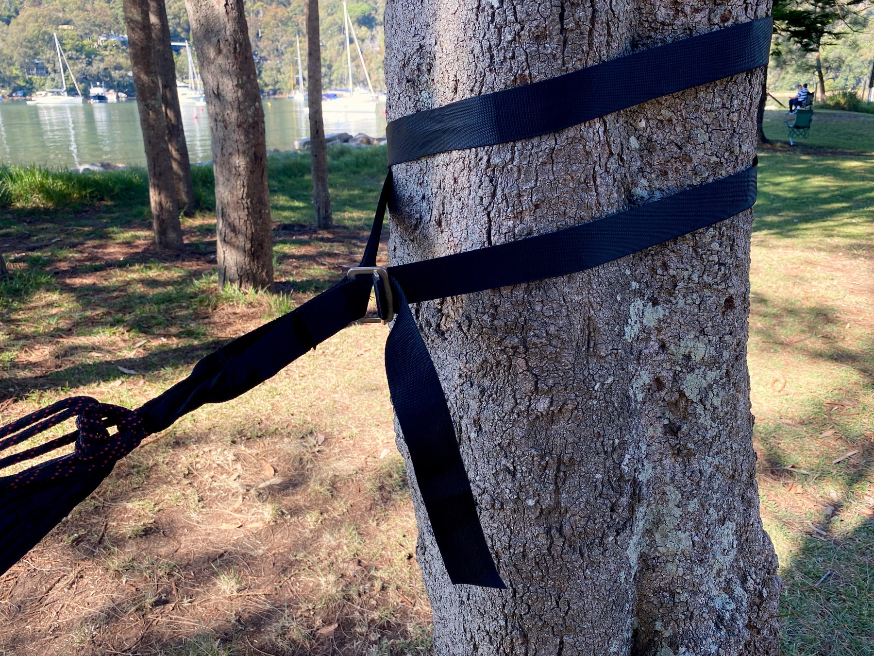 Deluxe Cinching Tree Straps Hammock Bliss