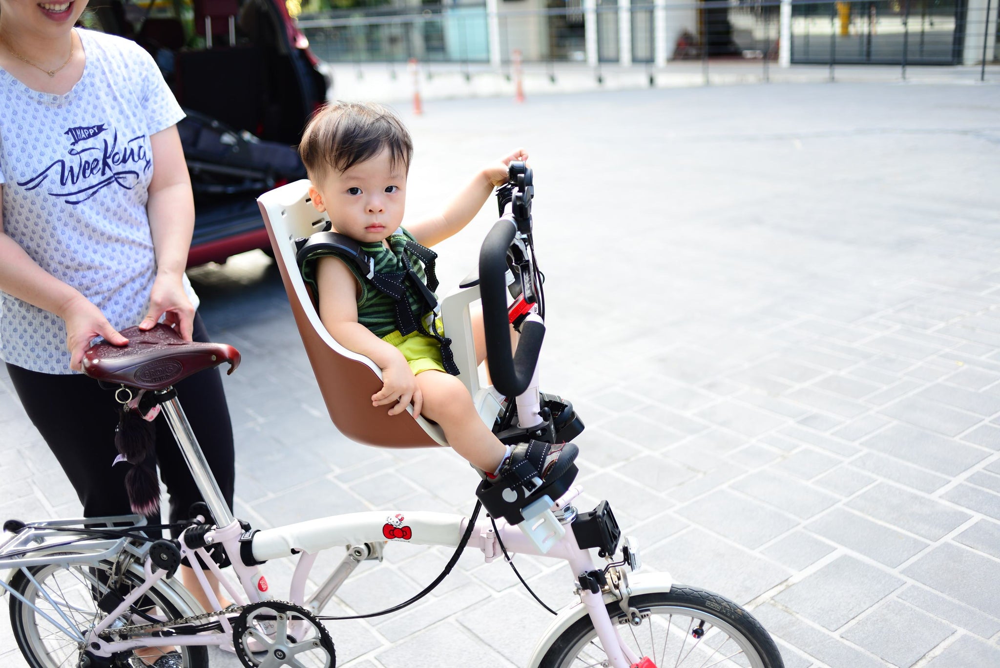 bones bike rack fit guide