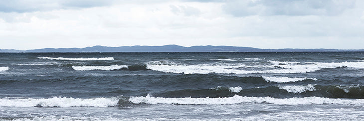 Ontdek de rauwe Scandinavische natuur op het strand van Hornbaek.