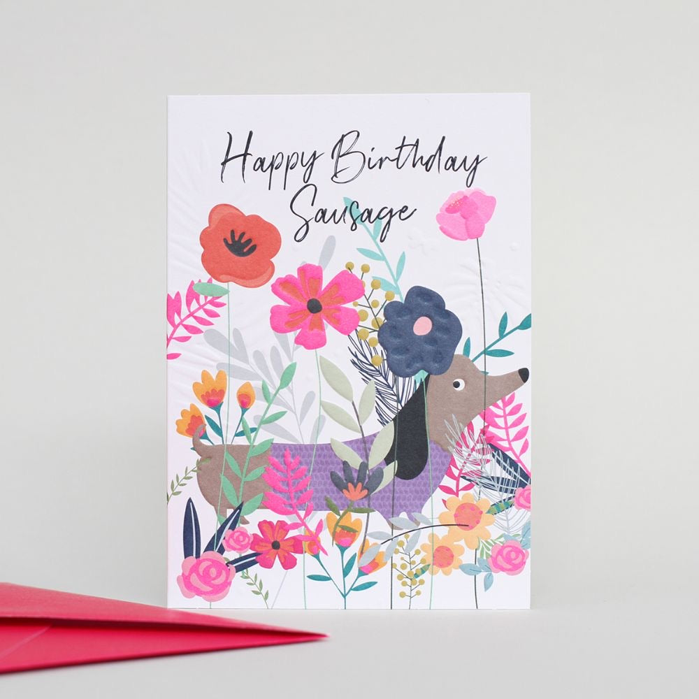 Birthday Sausage Dog Wild Thing Card The Eel Catchers Daughter