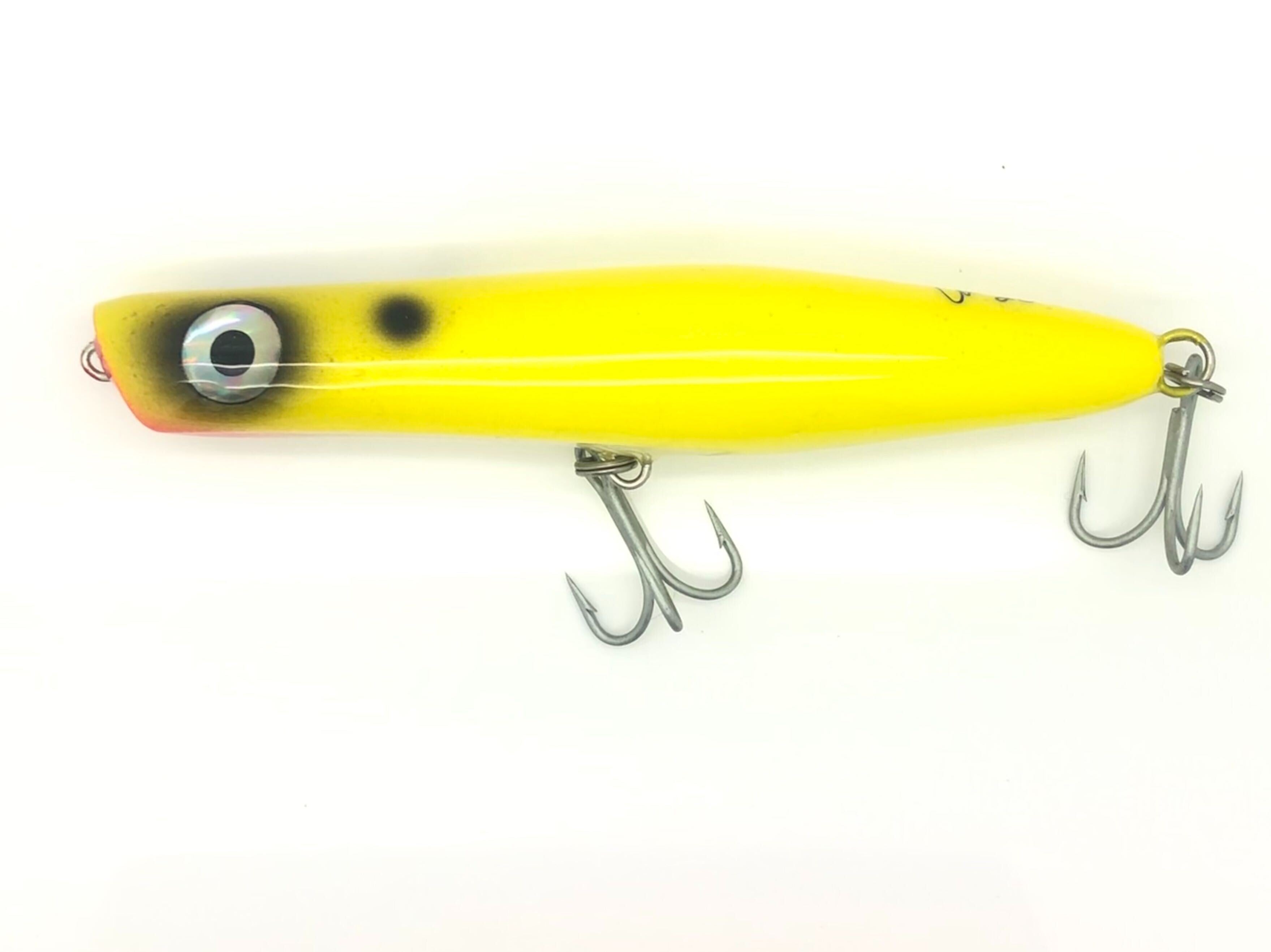 CORDELL PENCIL POPPER Saltwater Fishing Lure Rainbow Trout – Toad Tackle