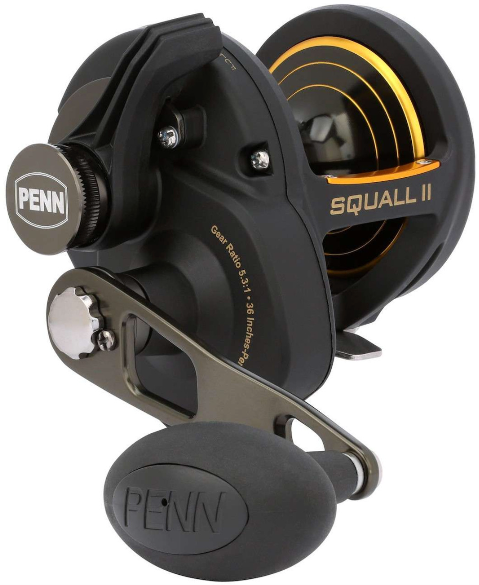 Penn Squall Low Profile Baitcasting Fishing Reels, Metal Frame