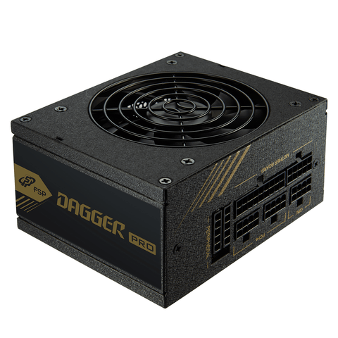 FSP Hydro G PRO 1000W 80 Plus Gold Full Modular ATX 12V V2.52 Fuente de  alimentación PFC activa con garantía de 10 años (HG2-1000)