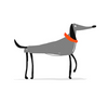 galgo-dogs454