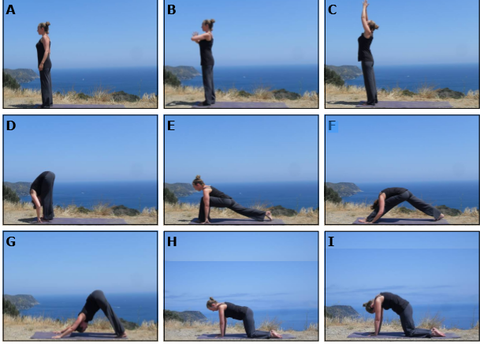 Person performing all the above stated yoga moves