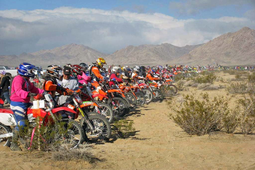 Gran cantidad de motociclistas locos preparándose al inicio de una carrera de liebres y perros