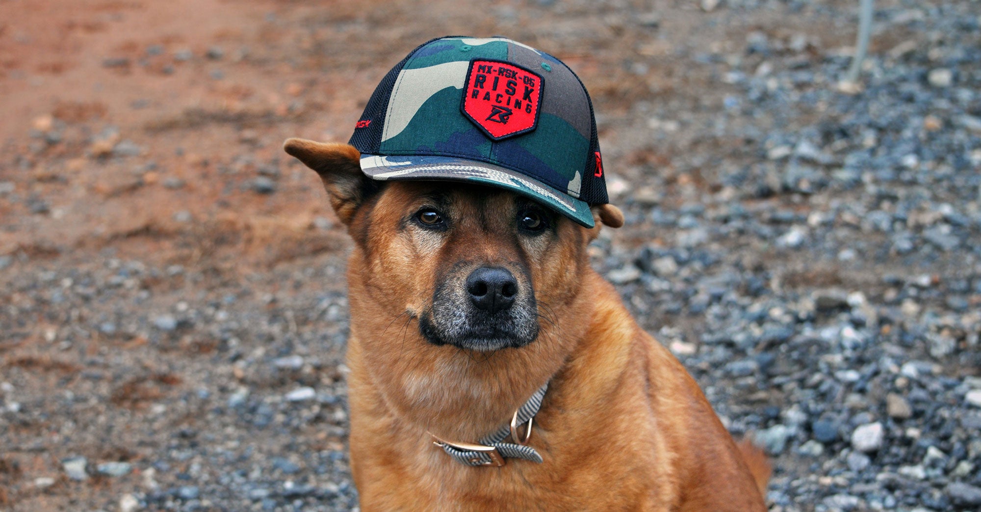 Gorra trucker snapback con parche rojo de camuflaje Risk Racing