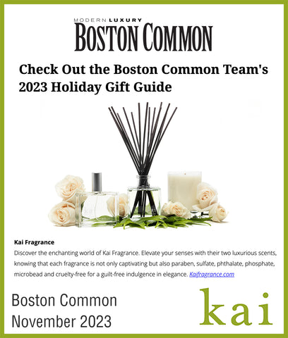 holiday gift guide - kai - boston common - november 2023