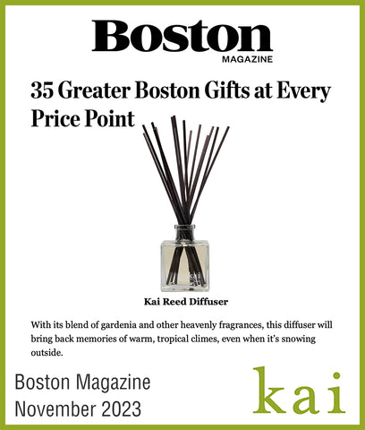 boston magazine<br>november 2023