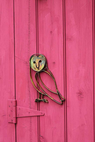 Barn Owl Wall Decor