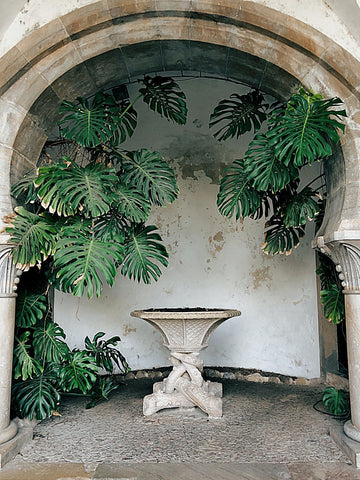 An ornate birdbath.