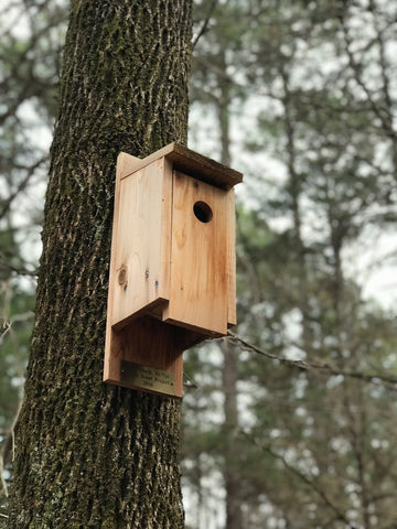 A birdhouse mounted to a tree trunk.