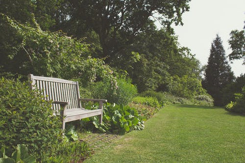 Happy Gardens - Cator Woolford Gardens