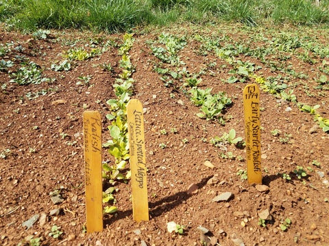 DIY garden stakes