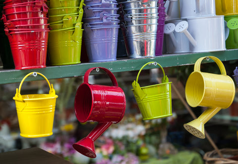 Colorful DIY watering cans