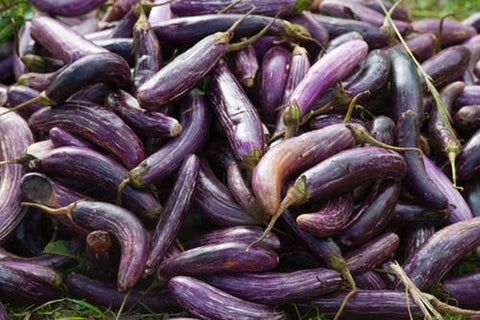 Happy Gardens - Eggplant 