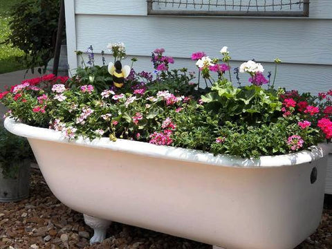 A vintage tub is stuffed with flowers.