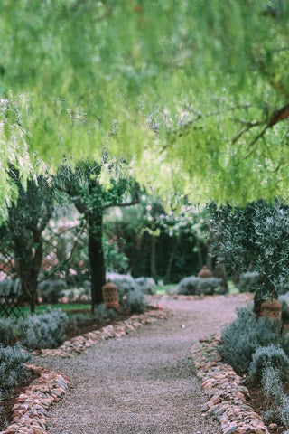 DIY Garden Path