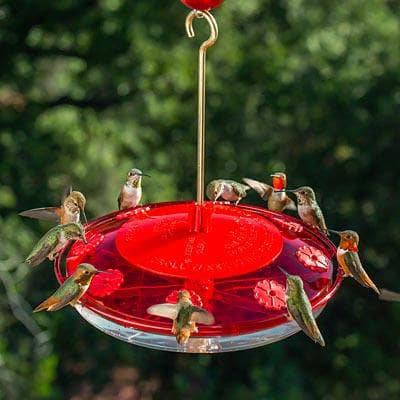 8 Bird Hummingbird Feeder