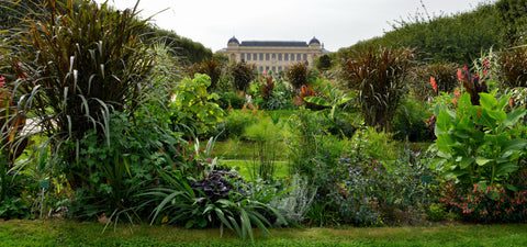 Happy Gardens - Jardin des Plantes