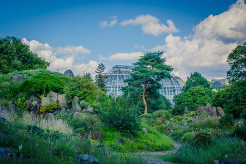 Happy Gardens - Lewis Ginter Botanical Gardens