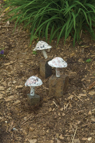 Happy Gardens - Little Fungi On Stone Garden Statue