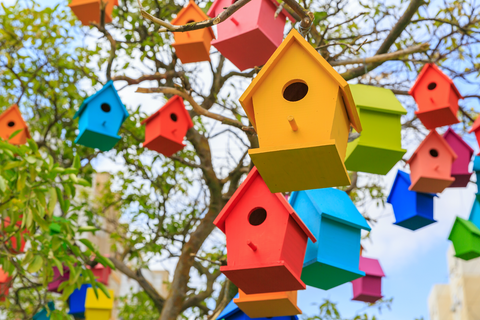 bird houses to attract birds to your yard
