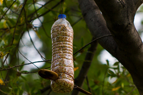 A bird feeder made out of a plastic bottle.