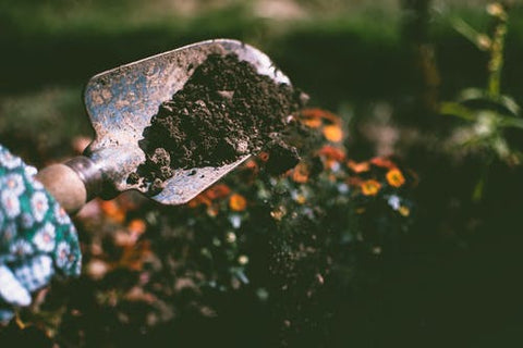 A shovel is used to dig up dirt.