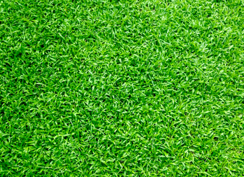 Artificial Turf