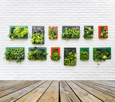 Vertical Garden