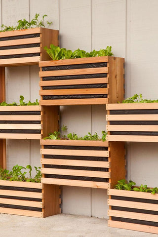 Vertical Gardens 