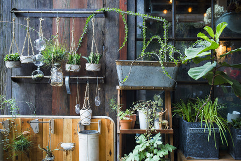  A vertical herb garden.