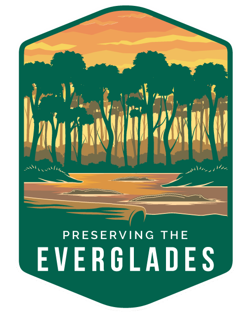 Preserving the Florida Everglades - artist's digital rendering of the Florida Everglades National Park