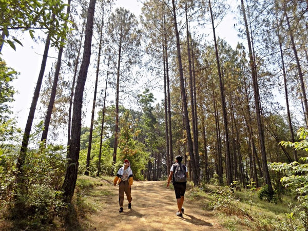 Summer Hiking Tips: How to stay cool while hiking?