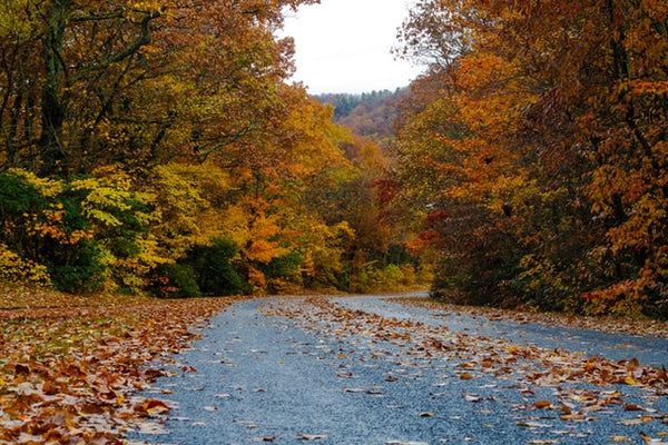 fall hiking destinations in the US