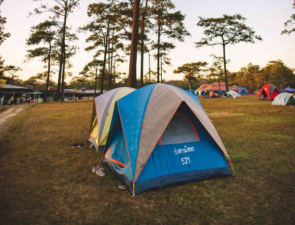 how to choose a campsite