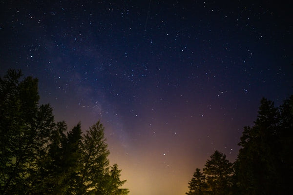 fundy national park