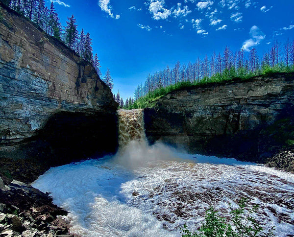 wood buffalo national park