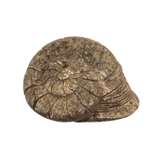Cast stone nautilus