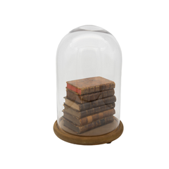 Collection of Bound Books Under Glass Cloche with Base