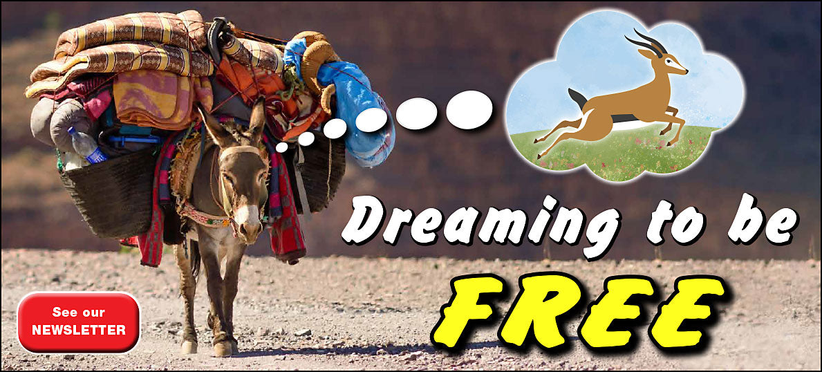 One mule imagine a gazelle draming to be free