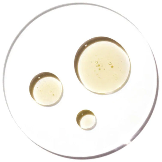 The key ingredients of vitamin c plus serum: Ferulic Acid