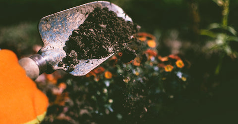 person spreading compost with a garden trowel, wearing garden gloves