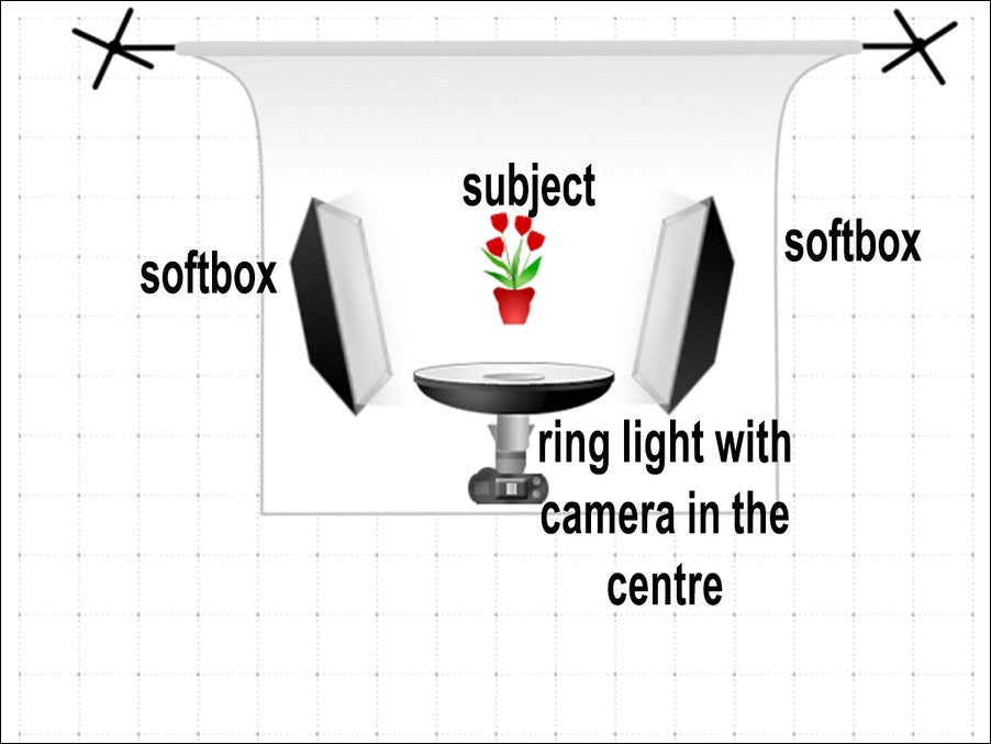 lighting setup softbox ring light kit