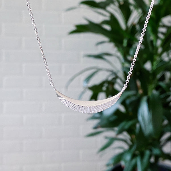 Silver icarus necklace hangs in front of a white wall and plant