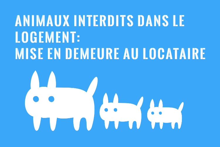 Mise en Demeure pour Animaux dans Logement