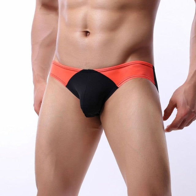 Men's Polyester Brief Underwear Frundies