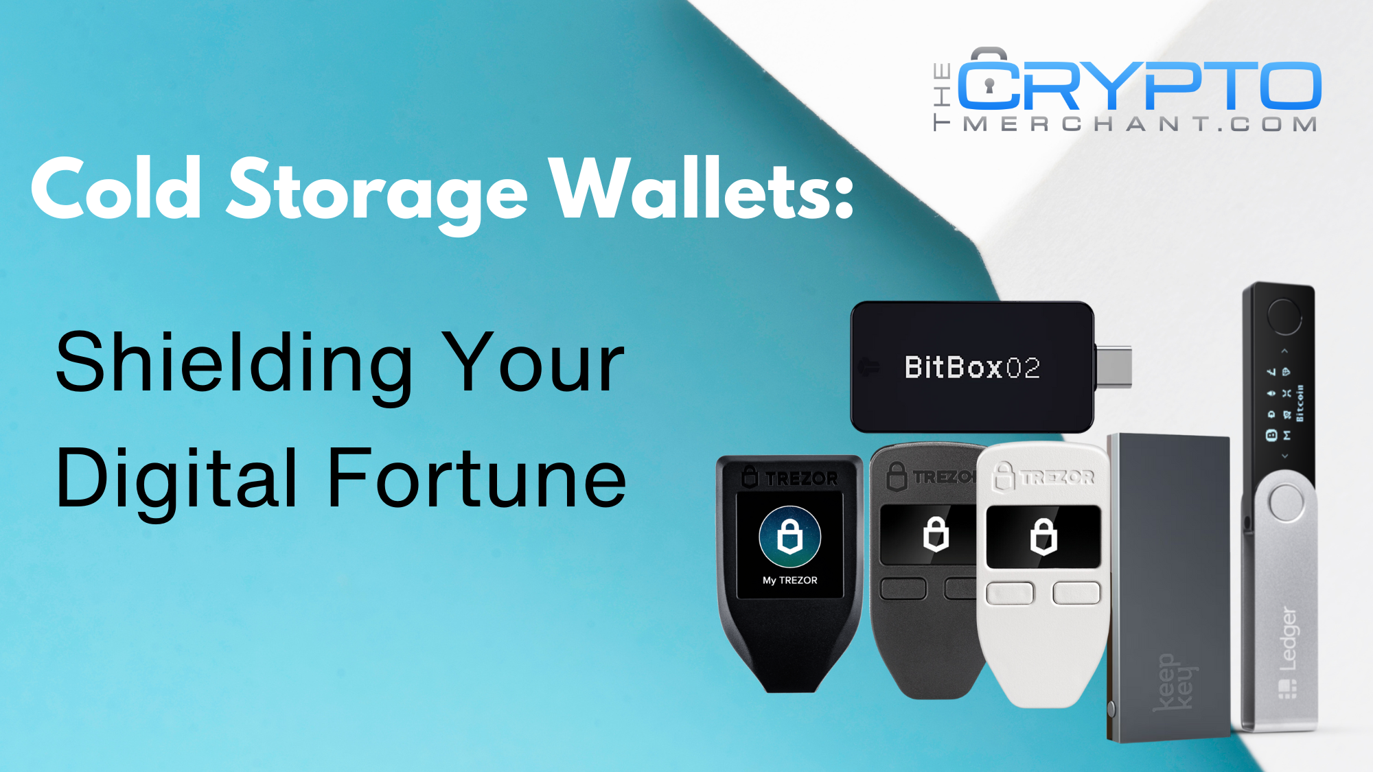 Cold Storage Wallets: Shielding Your Digital Fortune